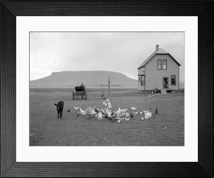 Framed Print : Homestead, 1910 Framed Print : Homestead, 1910