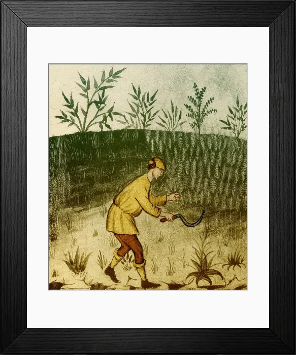 Framed Print : Agriculture, Medieval Farming