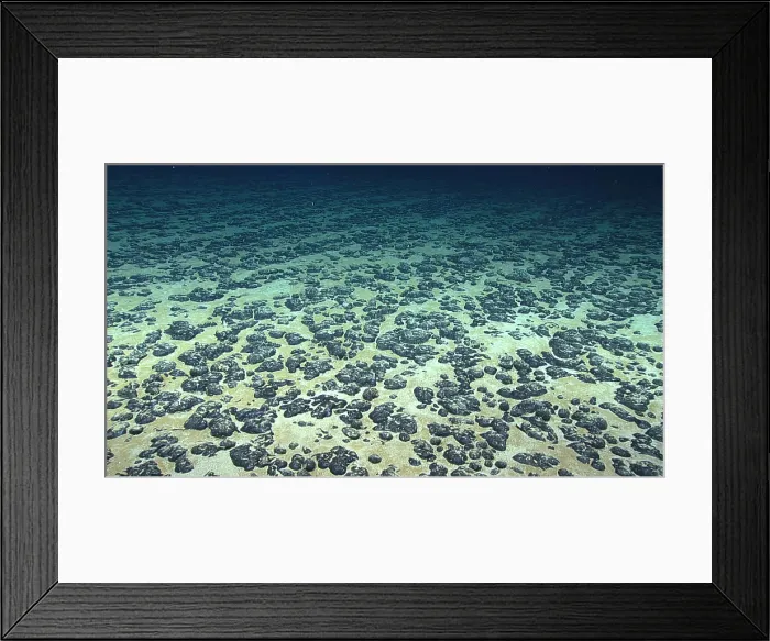 Framed Print : Manganese Nodule Field Framed Print : Manganese Nodule Field