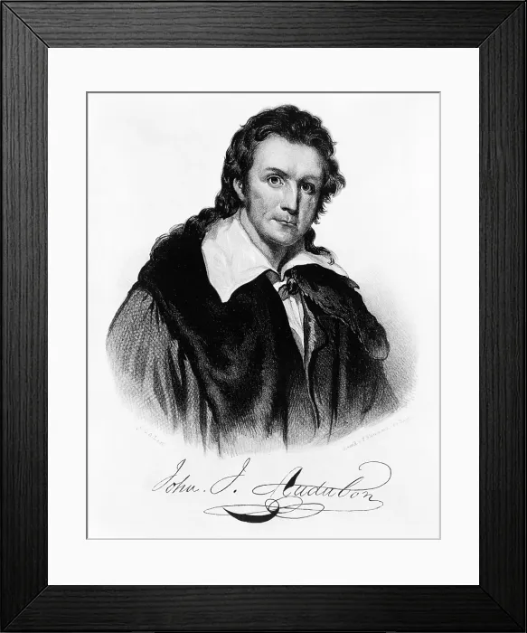 Framed Print : John James Audubon, French-American Naturalist Framed Print : John James Audubon, French-American Naturalist