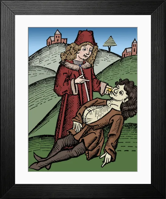 Framed Print : Hortus Sanitatis, Bezoar Stone, Medieval Antidote for Poisoning Framed Print : Hortus Sanitatis, Bezoar Stone, Medieval Antidote for Poisoning
