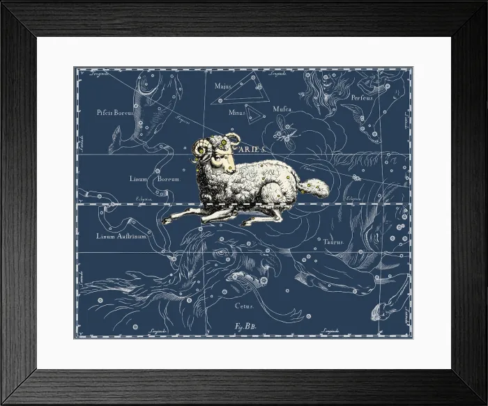 Framed Print : Aries Constellation, 1687 Framed Print : Aries Constellation, 1687