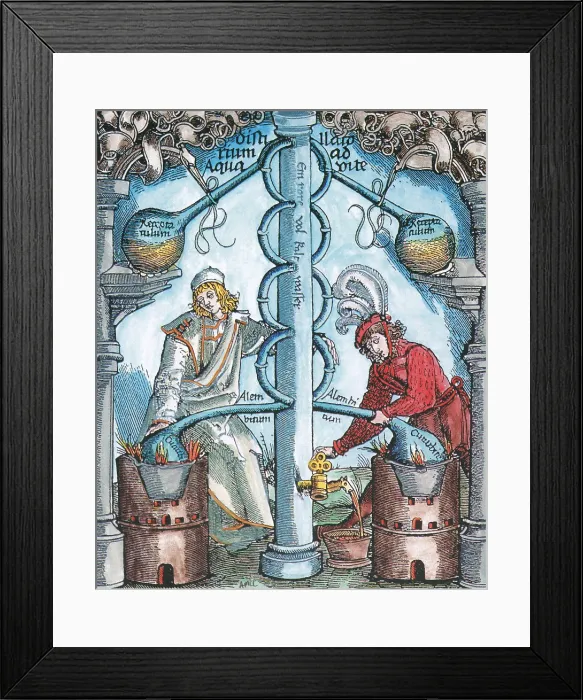 Framed Print : Distillation, 16th Century Framed Print : Distillation, 16th Century