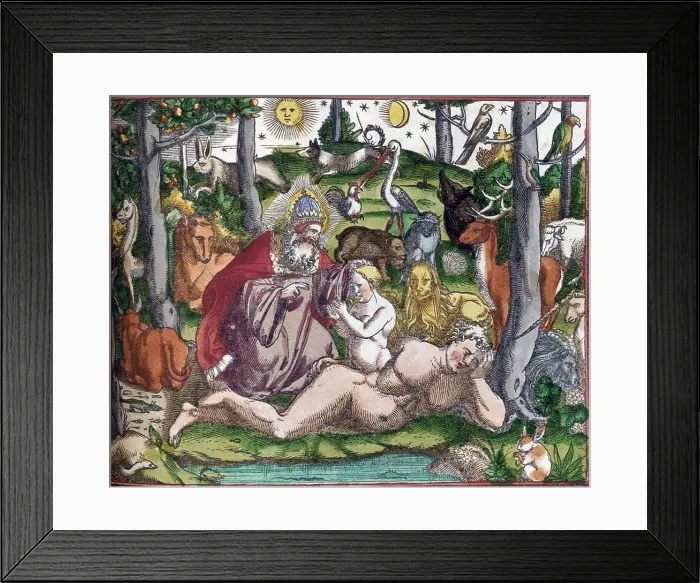 Framed Print : Gessner, Garden of Eden, 16th Century Framed Print : Gessner, Garden of Eden, 16th Century