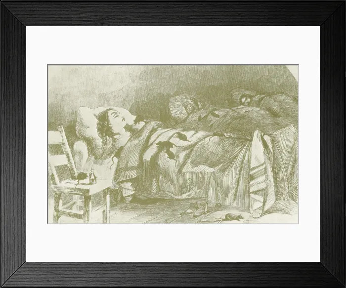 Framed Print : Conditions in Bellevue Hospital, New York Framed Print : Conditions in Bellevue Hospital, New York