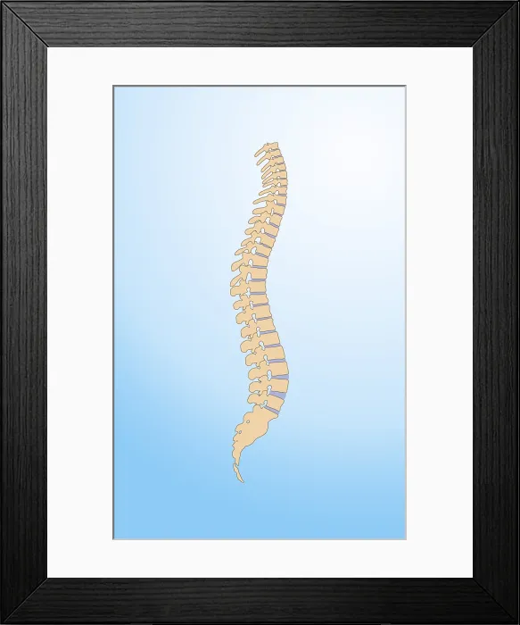 Framed Print : Spinal Column