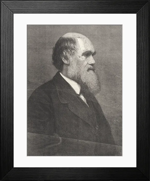 Framed Print : Charles Darwin, English Naturalist Framed Print : Charles Darwin, English Naturalist