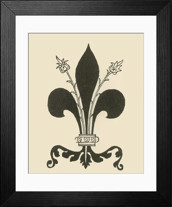 Framed Print : Fleur-de-Lis Framed Print : Fleur-de-Lis