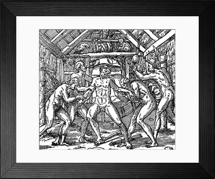 Framed Print : Tobacco Plant, Early Syphilis Treatment, 1558 Framed Print : Tobacco Plant, Early Syphilis Treatment, 1558