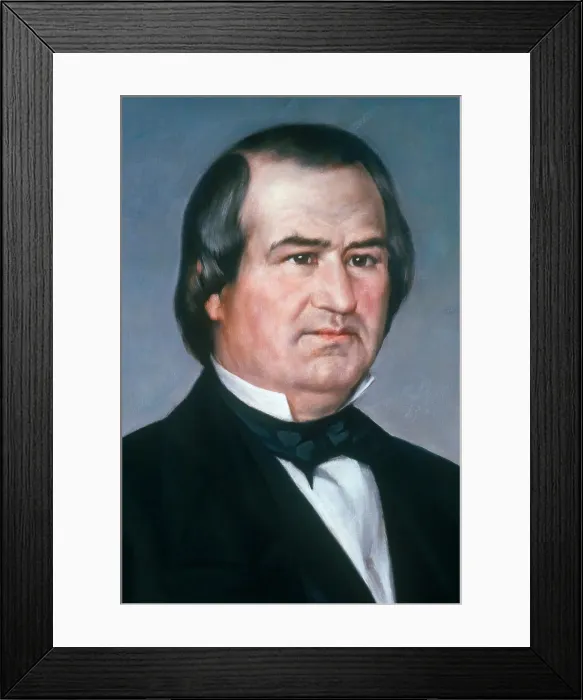 Framed Print : Andrew Johnson, 17th U.S. President