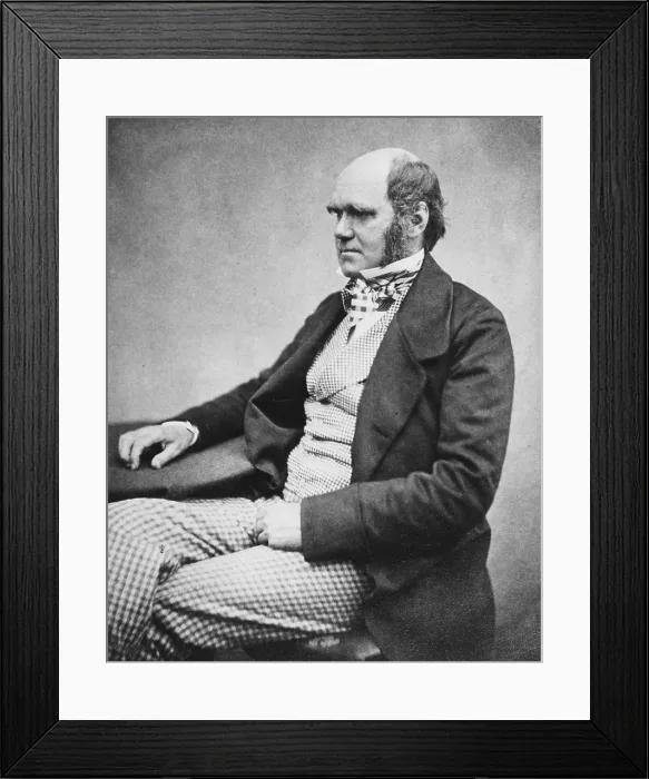Framed Print : Charles Darwin, English Naturalist Framed Print : Charles Darwin, English Naturalist