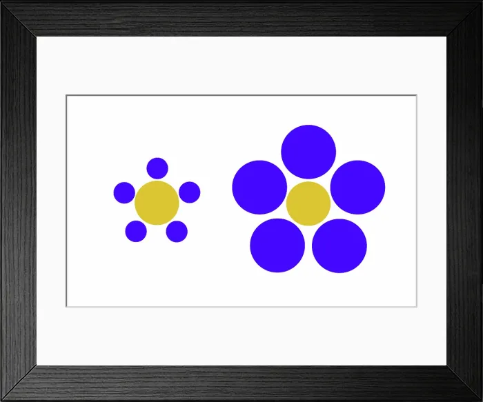 Framed Print : Optical Illusion, Ebbinghaus Framed Print : Optical Illusion, Ebbinghaus