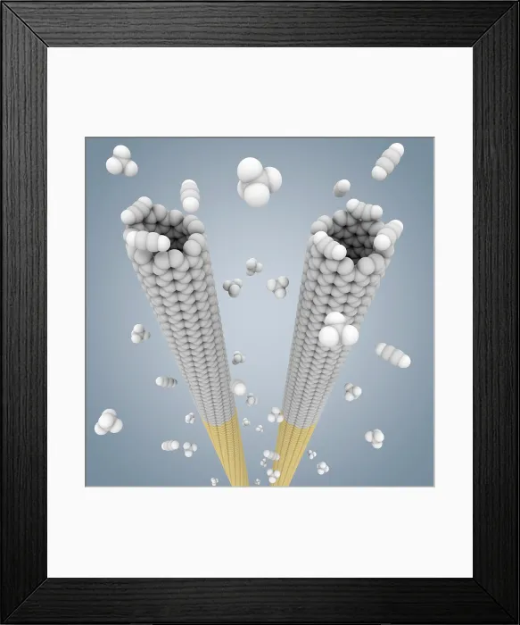 Framed Print : Cloning Carbon Nanotubes Framed Print : Cloning Carbon Nanotubes