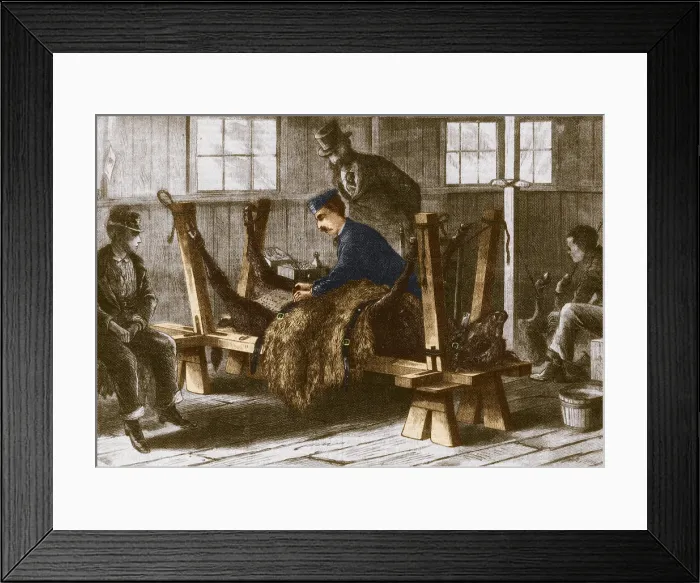 Framed Print : First Smallpox Vaccine, 1872 Framed Print : First Smallpox Vaccine, 1872