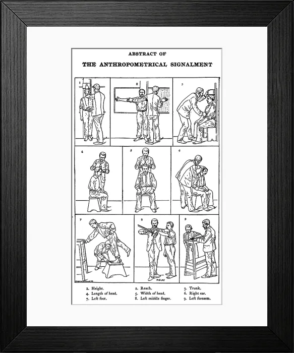 Framed Print : The Anthropometrical Signalment, 1896 Framed Print : The Anthropometrical Signalment, 1896
