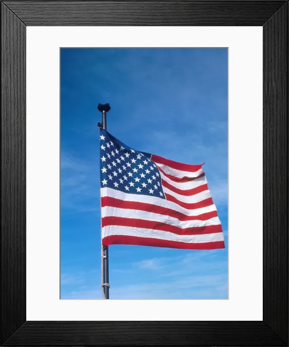 Framed Print : United States Flag