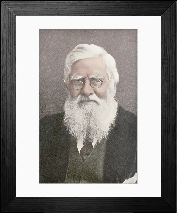 Framed Print : Alfred Russel Wallace, Welsh Naturalist Framed Print : Alfred Russel Wallace, Welsh Naturalist
