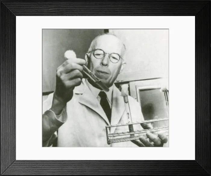 Framed Print : Rene Dubos, French-American Microbiologist Framed Print : Rene Dubos, French-American Microbiologist
