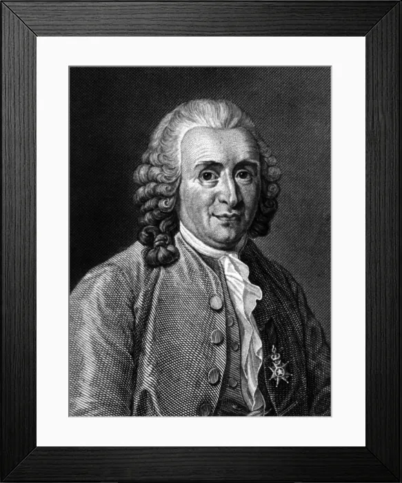 Framed Print : Carl Linnaeus, Swedish Botanist