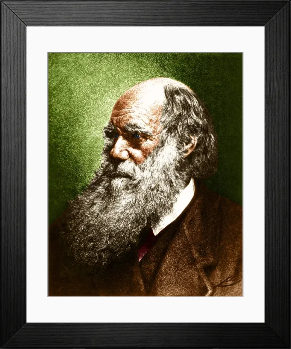 Framed Print : Charles Darwin, English Naturalist Framed Print : Charles Darwin, English Naturalist