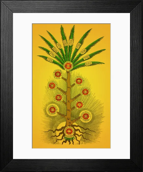 Framed Print : Tree of Life, Etz haChayim