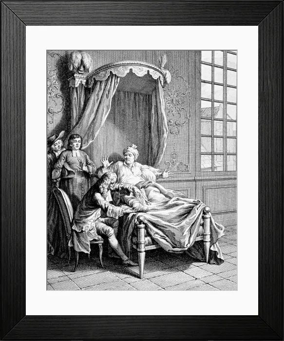 Framed Print : Gout and the Spider, 1668 Framed Print : Gout and the Spider, 1668
