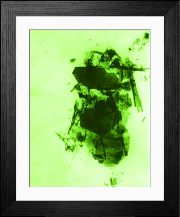Framed Print : Asbestos fibers Framed Print : Asbestos fibers