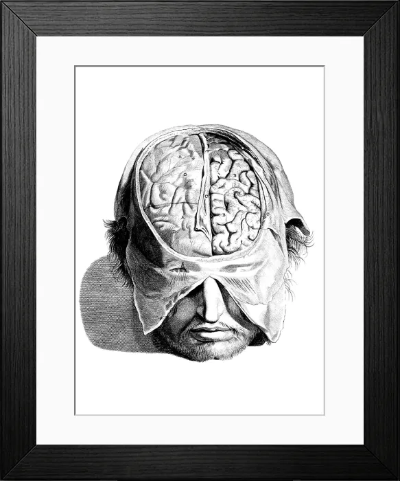 Framed Print : Anatomia humani corporis, Table 05, 1690 Framed Print : Anatomia humani corporis, Table 05, 1690