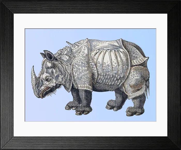 Framed Print : Durer, Rhinoceros, 16th Century Framed Print : Durer, Rhinoceros, 16th Century