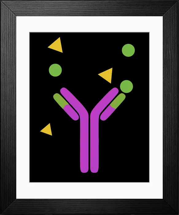 Framed Print : Monoclonal antibodies