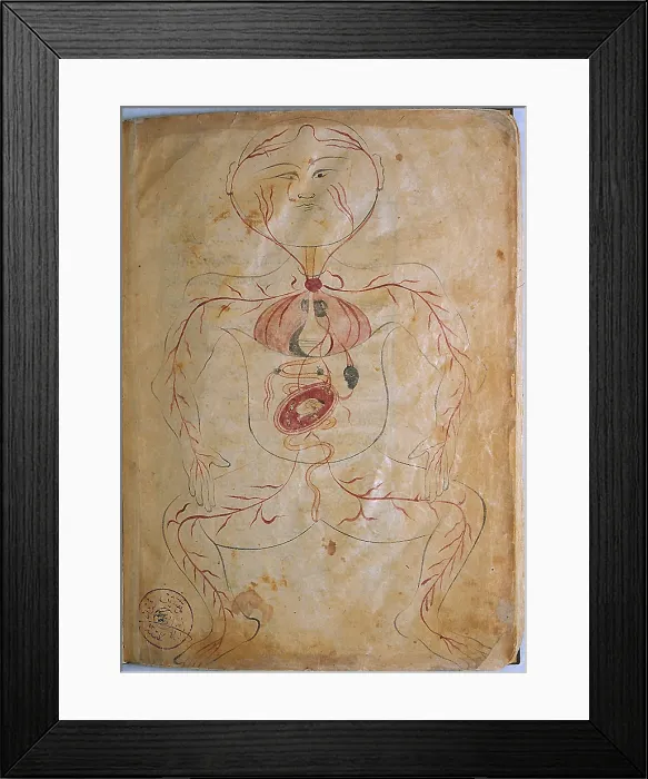 Framed Print : Mansur's Anatomy, Pregnant Woman, 15th Century Framed Print : Mansur's Anatomy, Pregnant Woman, 15th Century