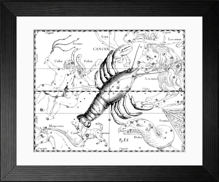 Framed Print : Cancer Constellation, Zodiac Sign, Hevelius Framed Print : Cancer Constellation, Zodiac Sign, Hevelius