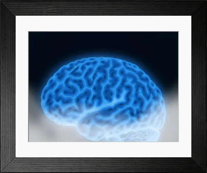 Framed Print : Conceptual Brain, Illustration Framed Print : Conceptual Brain, Illustration