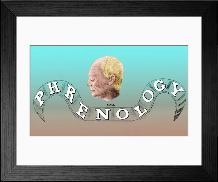 Framed Print : Franz Joseph Gall, German Phrenologist