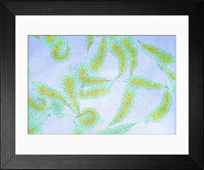 Framed Print : DNA from amphibian egg