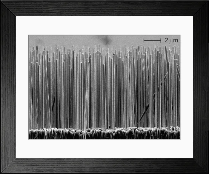 Framed Print : Semiconductor Nanowires, under a microscope (SEM)