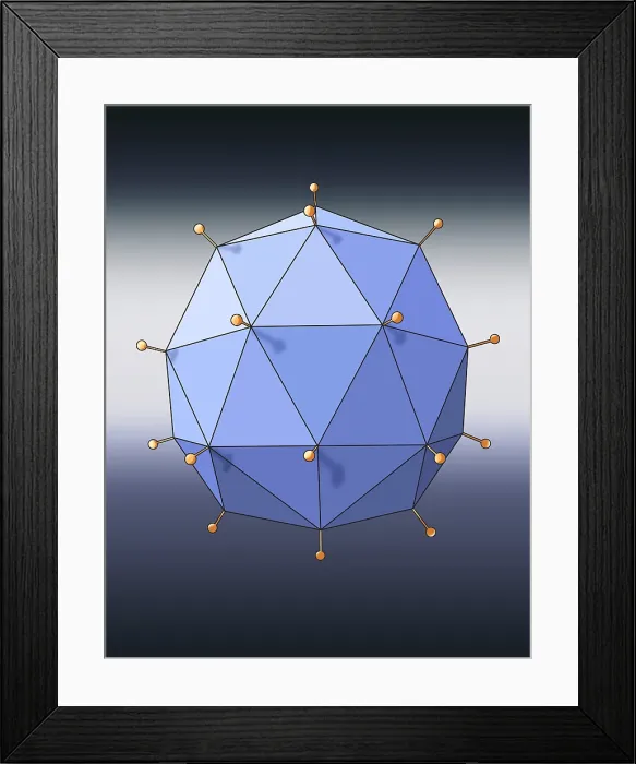 Framed Print : Virus Shape, Helical, Illustration Framed Print : Virus Shape, Helical, Illustration