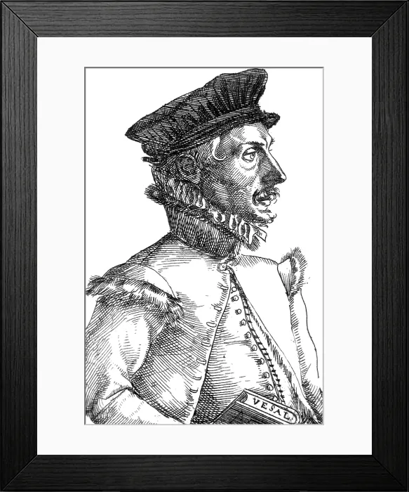 Framed Print : Felix Plater, Swiss Physician Framed Print : Felix Plater, Swiss Physician