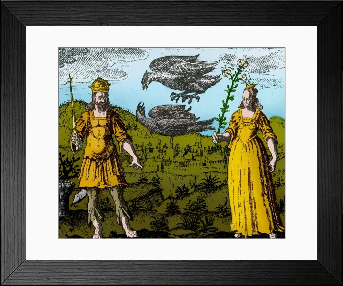 Framed Print : Alchemy Illustration Framed Print : Alchemy Illustration