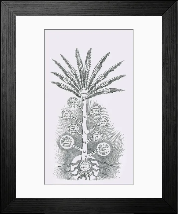 Framed Print : Tree of Life, Etz haChayim