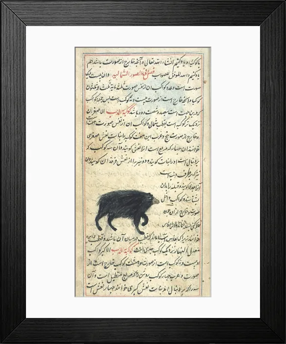 Framed Print : Ursa Minor, 17th Century