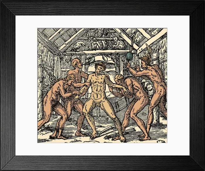 Framed Print : Tobacco Plant, Early Syphilis Treatment, 1558 Framed Print : Tobacco Plant, Early Syphilis Treatment, 1558