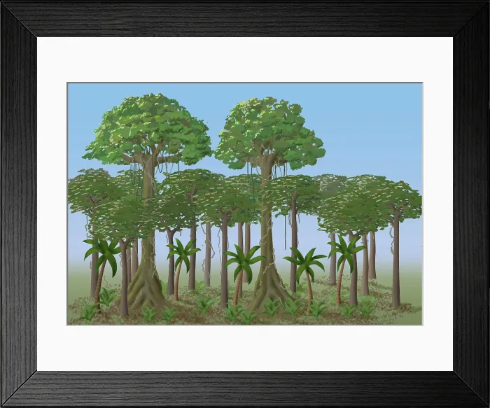 Framed Print : Rainforest Layers, Illustration