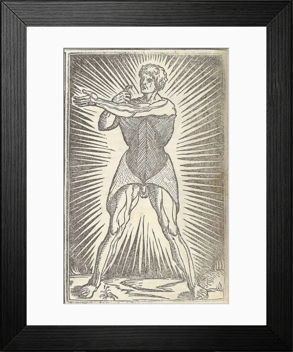 Framed Print : Jacopo Berengario da Carpi, Anatomy Framed Print : Jacopo Berengario da Carpi, Anatomy