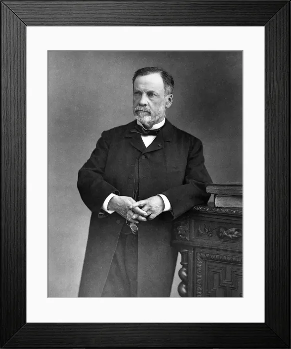Framed Print : Louis Pasteur, French Chemist and Bacteriologist Framed Print : Louis Pasteur, French Chemist and Bacteriologist