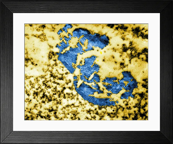 Framed Print : Human Enterovirus, Poliovirus, TEM