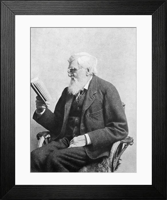 Framed Print : Alfred Russel Wallace, Welsh Naturalist
