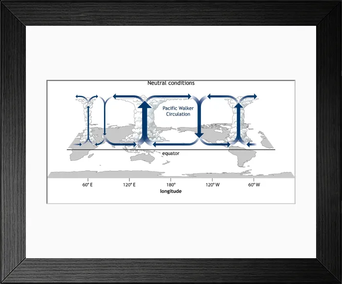 Framed Print : Walker Circulation Framed Print : Walker Circulation