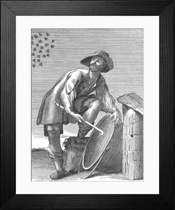 Framed Print : Apiculture, Beekeeper Beckons Swarm Back to Hive