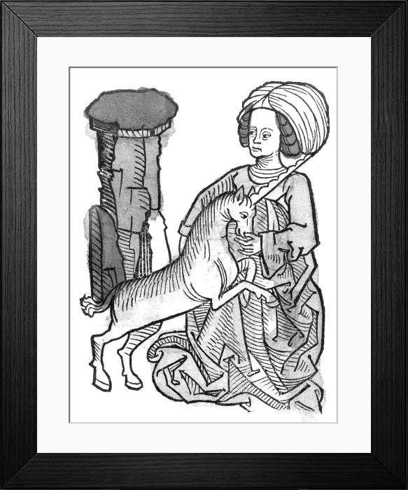 Framed Print : Unicorn, Legendary Creature Framed Print : Unicorn, Legendary Creature